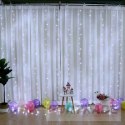 300 led usb curtain + cw remote control