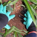 Garden gloves with claws claws universal gloves with claws