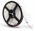 WATERPROOF LED STRIP WITH POWER SUPPLY COLD WHITE 5 M DECORATIVE LED STRIP