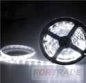 WATERPROOF LED STRIP WITH POWER SUPPLY COLD WHITE 5 M DECORATIVE LED STRIP