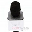 Square karaoke microphone