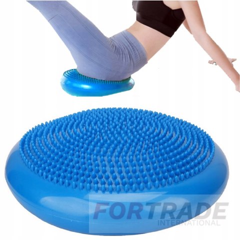 SENSORY REHABILITATION PILLOW SENSOMOTORIC HEDGEHOG DISK FOR EXERCISES