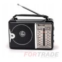 Small portable radio