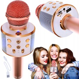 Round karaoke microphone