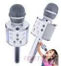 Round karaoke microphone