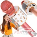 Round karaoke microphone