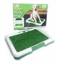 LITTERBOARD LEARNING MAT WITH ARTIFICIAL GRASS FOR CAT DOG DOGS PUPPIES 47X34X6