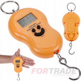 HOOK LUGGAGE SCALE FOR AIR FISHING TRAVEL, HAND DIGITAL LCD, 50 KG