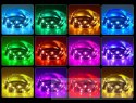 WASSERDICHTES SMD 5050 LED-STREIFEN-SET RGB PILOT 5M FORTRADE