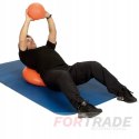 SENSORY REHABILITATION PILLOW SENSOMOTORIC HEDGEHOG DISK FOR EXERCISES