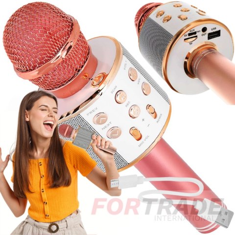 Karaoke microphone wireless bluetooth for children with usb with speaker