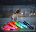 HALSBAND MIT LED-BELEUCHTUNG, 3 MODI FÜR HUNDE UND KATZEN, VERSTELLBAR, VERSCHIEDENE FARBEN FÜR DIE LEINE