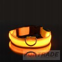 LED LIGHTING COLLAR 3 MODES FOR DOG AND CAT ADJUSTABLE VARIOUS COLORS FOR LEASH