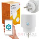 SMART WIFI TIMER INTELLIGENTE SPRACHGESTEUERTE STECKDOSE