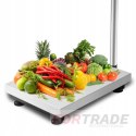 INDUSTRIAL WAREHOUSE SCALE ELECTRONIC SHOP 300KG LCD FOLDABLE STRONG