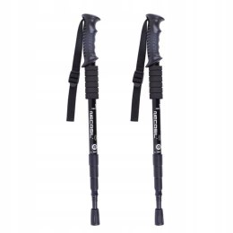 Trekking poles