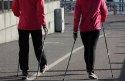 TREKKING POLES NORDIC WALKING POLES, ADJUSTABLE, TELESCOPIC, ALUMINUM