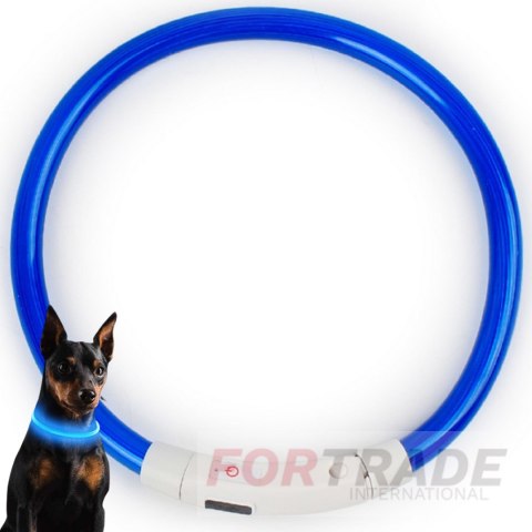 Leuchtendes hundehalsband l