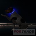 LED-BELEUCHTUNGSHALSBAND FÜR HUNDE UND KATZEN, LÄNGENVERSTELLBAR, USB-SILIKON