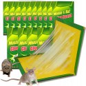 MOUSE TRAP RATS RODENTS MOUSETRAP STRONG PAW STRONG GLUE